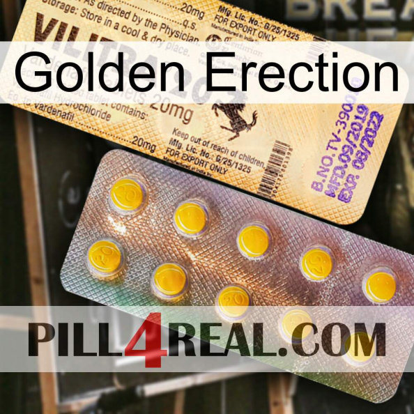 Golden Erection new06